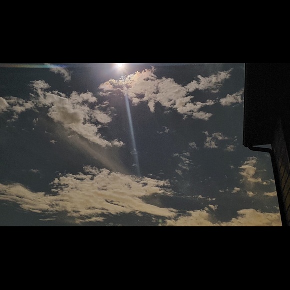 Meet Your Posher , Lisa - Picture 3 of 3